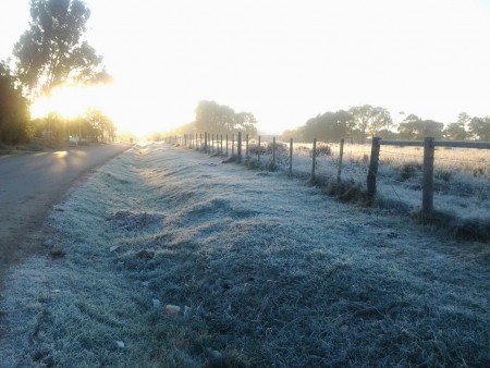 INVIERNO EN EL CAMPO DE MAHILOS